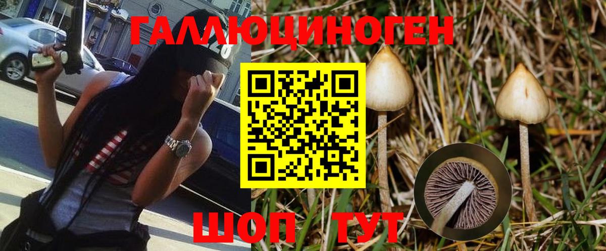 Галлюциногенные грибы Psilocybine cubensis  Галлюциногенные грибы MAGIC MUSHROOMS  Железноводск  закладки  Вход с VPN 